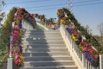 廣場(chǎng)公園景點(diǎn)景觀提升