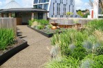 公共場所景觀提升學校屋頂花園