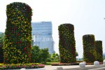 廣場(chǎng)公園景觀提升2