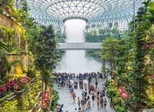 打造生態(tài)化公共空間，助力人文機(jī)場建設(shè)