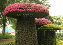 移動(dòng)花園知多少？