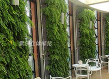 影響室內(nèi)植物墻的環(huán)境因素有哪些？