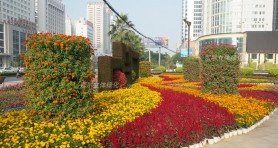 南寧中盟商務(wù)與投資峰會(huì)廣場(chǎng)景觀提升