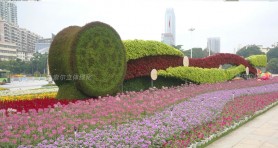 南寧中盟商務(wù)與投資峰會(huì)廣場(chǎng)景觀提升