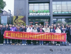 構(gòu)筑學(xué)習(xí)平臺(tái)，傳授杭州網(wǎng)紅高架月季經(jīng)驗(yàn)