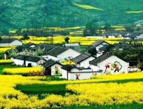四部門印發(fā)《“十四五”鄉(xiāng)村綠化美化行動方案》，哪些亮點值得關(guān)注？