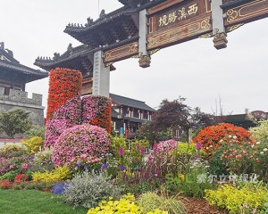 東臺西溪古鎮(zhèn)景區(qū)五一景觀提升