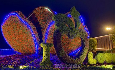 夜景下的立體花壇《幸?；ㄩ_》