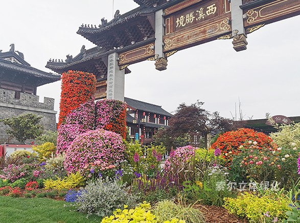 東臺(tái)西溪古鎮(zhèn)景區(qū)五一景觀提升
