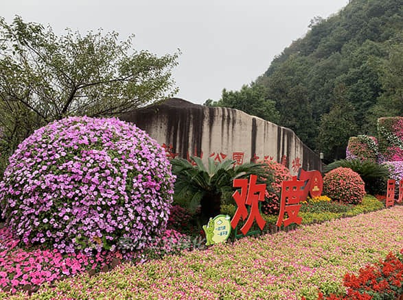 國(guó)慶杭州余杭廣場(chǎng)景觀提升