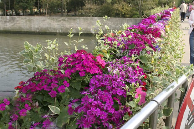 廣場(chǎng)公園景點(diǎn)景觀提升