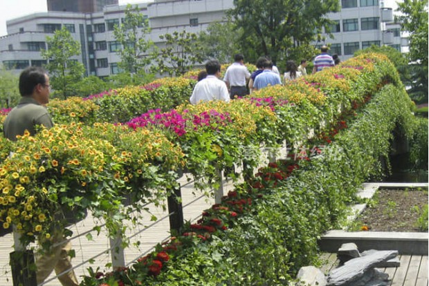 廣場(chǎng)公園景點(diǎn)景觀提升