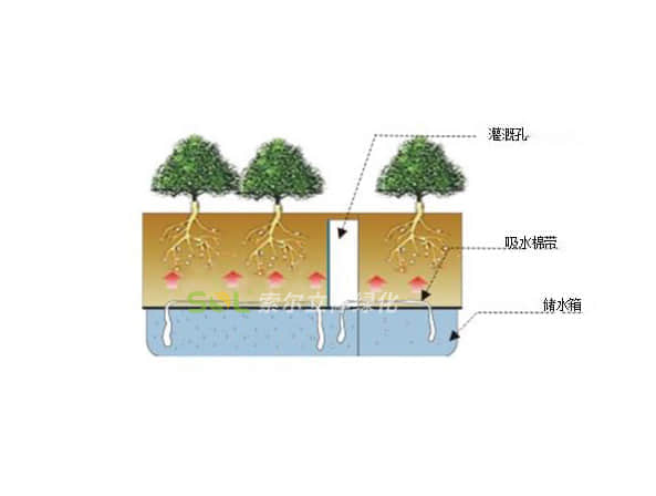 組合造景灌溉示意圖