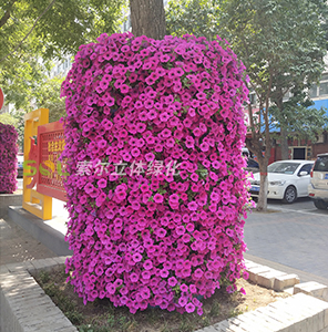 行道樹(shù)綠化-花盆式組合造景