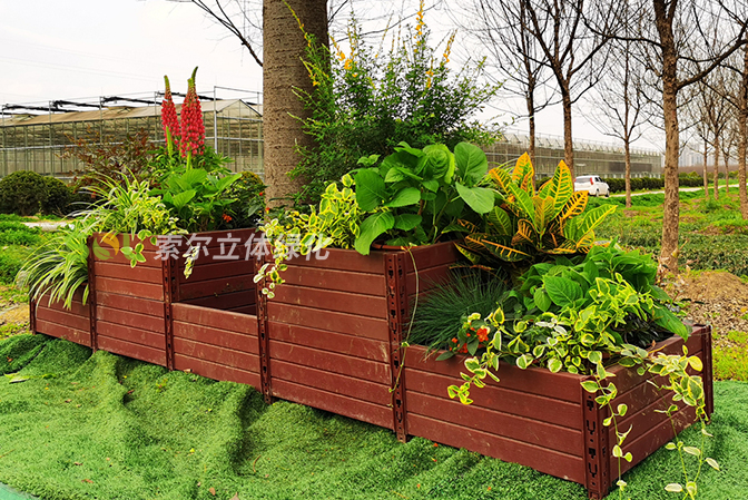 行道樹(shù)綠化公園景點(diǎn)景觀提升1