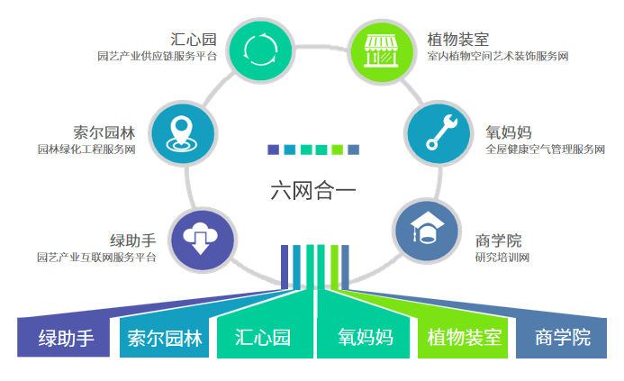 05索爾六網(wǎng)合一.png