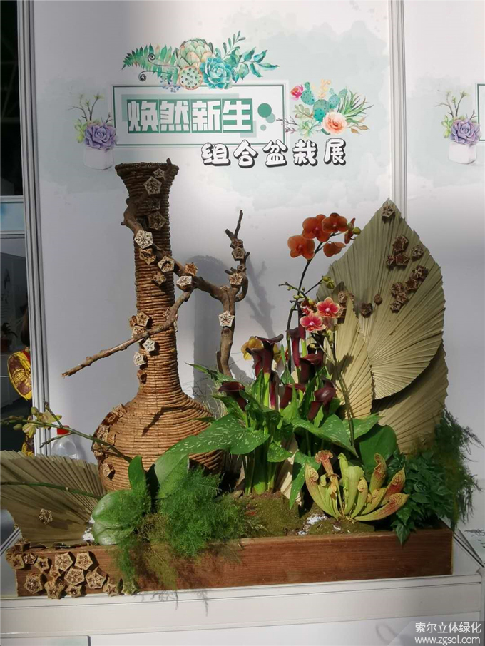 第二十二屆中國國際花卉園藝展-索爾 (6).jpg