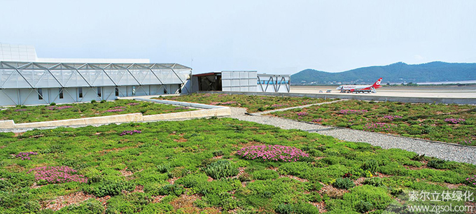 28西班牙伊比沙島機場航站樓屋頂綠化02.jpg