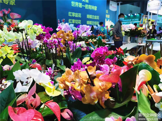 07 2021年4月15-17日第二十三屆中國(guó)國(guó)際花卉園藝展覽會(huì)上海.jpg