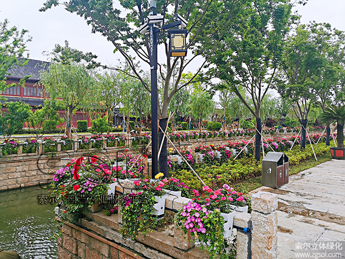 30江蘇東臺(tái)西溪古鎮(zhèn)景區(qū)五一景觀提升 (54)河岸護(hù)欄綠化.jpg