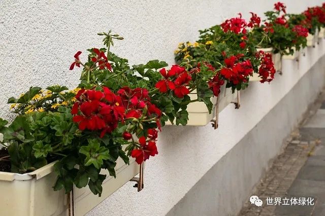 微信圖片_20220111110130.jpg